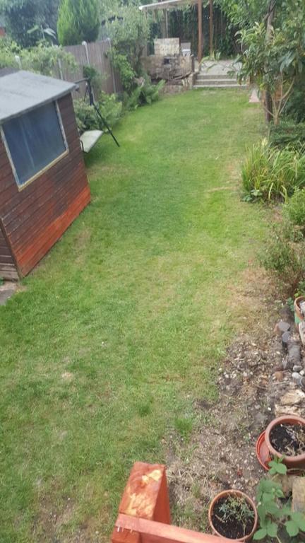 Edwardian Apartment Garden Flat London Bagian luar foto